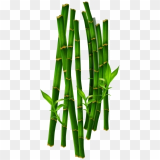 Green Bamboo Png - Grass, Transparent Png