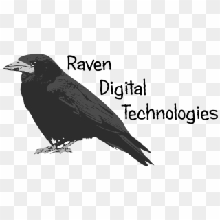 Raven , Png Download - Bird Of Prey, Transparent Png