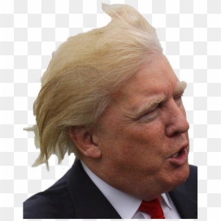 Messy Haired Trump - Trump Looking Crazy, HD Png Download