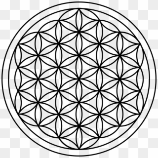 If We Look Close Enough, We Can Often See Patterns - Flower Of Life Png, Transparent Png