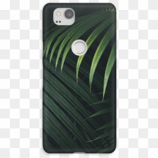 Palm Leaf Design - Iphone, HD Png Download