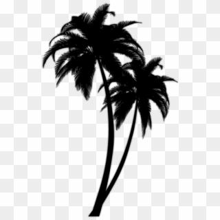 Free Png Download Black Palm Tree Png Images Background - Black Palm Tree Png, Transparent Png
