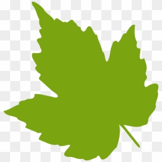 Grape Vine Leaves Clip Art - Green Leaf Clip Art, HD Png Download -  2400x2400(#31845) - PngFind