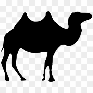 This Free Icons Png Design Of Wild Camel Pluspng - Clipart Camel Black, Transparent Png