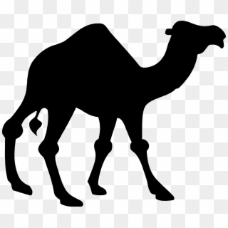 Camel Silhouette Clip Art - Camel Clipart, HD Png Download
