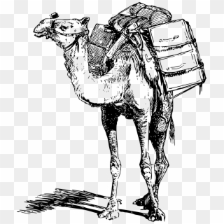Camel Png Clipart - Laden Meaning, Transparent Png