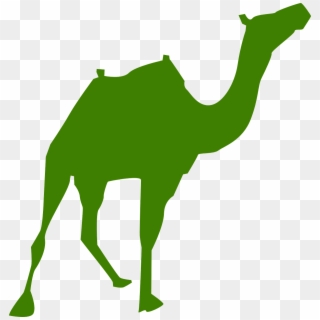 Walking Camel Silhouette Svg Clip Arts 576 X 597 Px, HD Png Download
