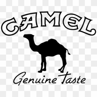 Camel Logo Vector, HD Png Download