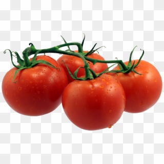 Tomatoes Png - Tomato Hd Transparent Background, Png Download