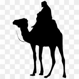 Fes Tours - Desert Camel Icon Png, Transparent Png