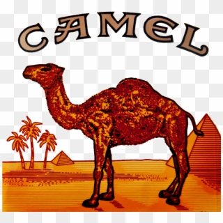 1280 X 1204 4 - Camel Cigarettes, HD Png Download