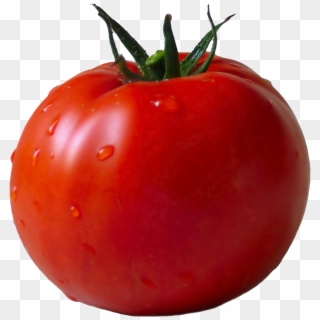 Tomato Png Image - Transparent Background Tomato Clipart, Png Download