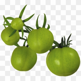 Green Tomato Png, Transparent Png