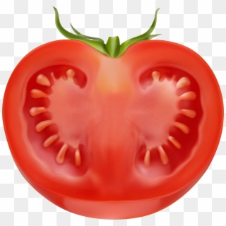 Half Tomato Transparent Png Image - Half Tomato Clipart Png, Png Download