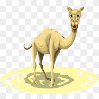 Camel Beauty Pageant Bans Botox - Camel, HD Png Download
