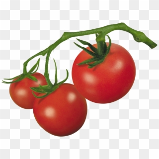 Red Tomatoes Png Image, Transparent Png