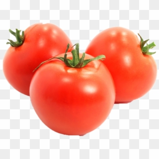 Tomato Png Background Photo - Tomat Buah Png, Transparent Png