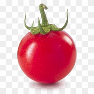 Piccolo - Plum Tomato, HD Png Download