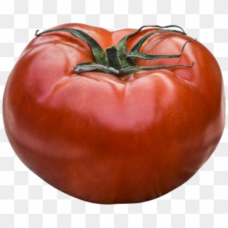 Download - Tomato, HD Png Download