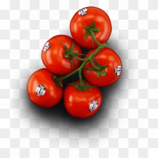 Frank & Able Tomatoes - Plum Tomato, HD Png Download
