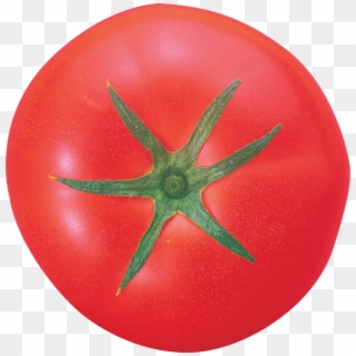 Tomato Png Free Download - Plum Tomato, Transparent Png