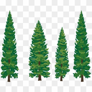 Pine - Clipart - Pine Tree Clipart Png, Transparent Png