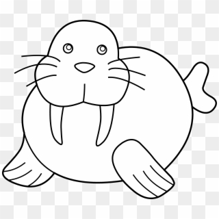 Clipart Info - Walrus Clipart Black And White, HD Png Download
