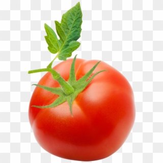 Tomato - Plum Tomato, HD Png Download