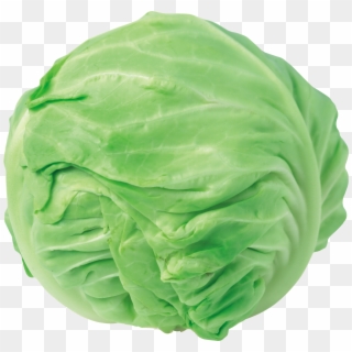 Png Library Stock Cabbage Clipart Iceberg Lettuce, Transparent Png