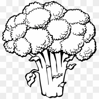 Lettuce Clipart 2 Famclipart - Broccoli Coloring Page, HD Png Download