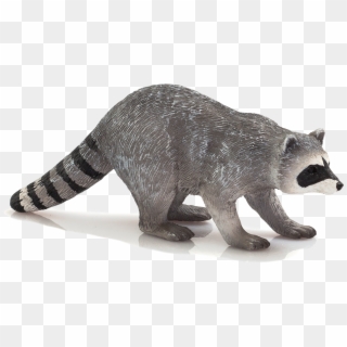 Raccoon Png Transparent Image - Schleich Raccoon, Png Download