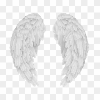 Angel Wings Png - Baby Angel Wings Png, Transparent Png