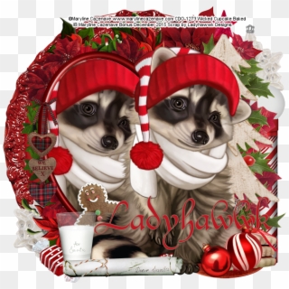 Won't You Help The Raccoon Celebrate - Ancient Dog Breeds, HD Png Download
