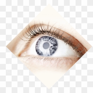 Eye Surgery - Menschen Mit Grauen Augen, HD Png Download