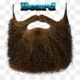 Png Royalty Free Png Names Free Download - Beard Texture, Transparent Png