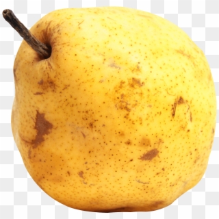 Pear Png Image With Transparent Background - Asian Pear, Png Download