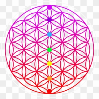 Cropped Flower Of Life 1601160 Copy 2 - Flower Of Life Png, Transparent Png