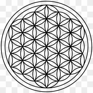 Flower Of Life - Flower Of The Life, HD Png Download