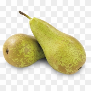 Alegria Fruit Pears Conference - Asian Pear, HD Png Download
