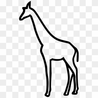 Png Icon Free - Giraffe Line Icon Png, Transparent Png