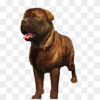 Greeks Worst Nightmare Monkas - Companion Dog, HD Png Download