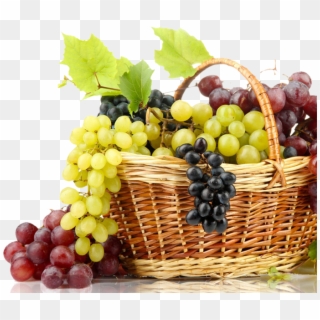Kalya Exports - Grape, HD Png Download