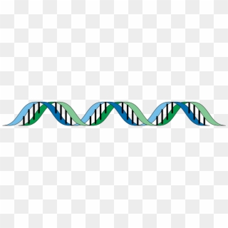 Dna Gene Genetic Helix Rna Png Image - Genetics Clipart Transparent, Png Download