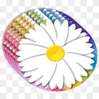 Daisy 3d Element Rainbow 929410 - Chamomile, HD Png Download