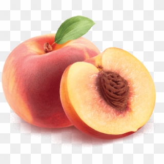 Skip To The Beginning Of The Images Gallery - White Peach Png, Transparent Png