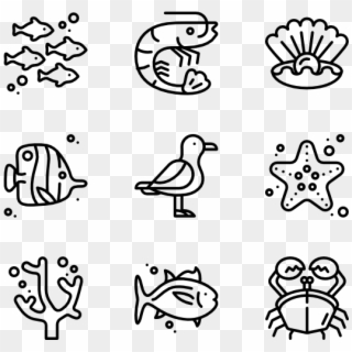 Sea Life - Ethic Icon, HD Png Download