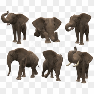 Png Format Png Elephant, Transparent Png