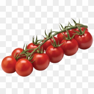 Tomato Cherry On Vine , Png Download, Transparent Png