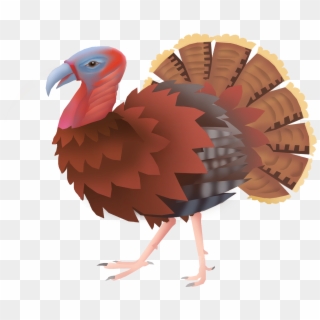Hand Drawn Hd Animal Turkey Png And Psd - Turkey, Transparent Png