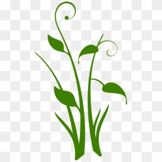 Green Plant Floral Design Swirl Png Image - Plant Design Png, Transparent Png